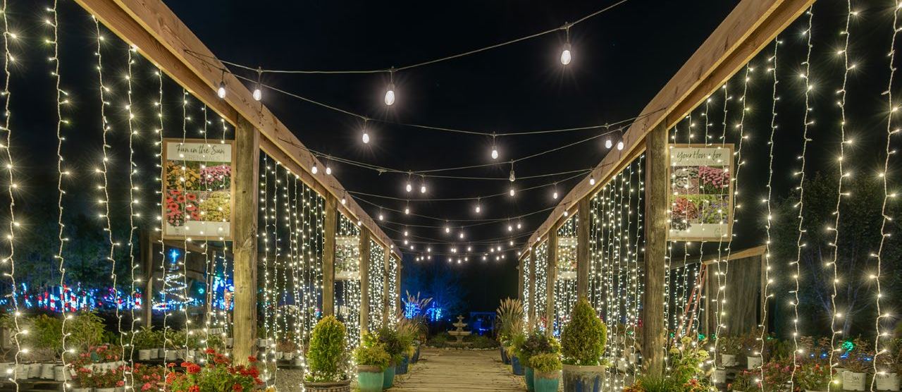 A long covered walkway lined with curtain lights, with string lights overhead