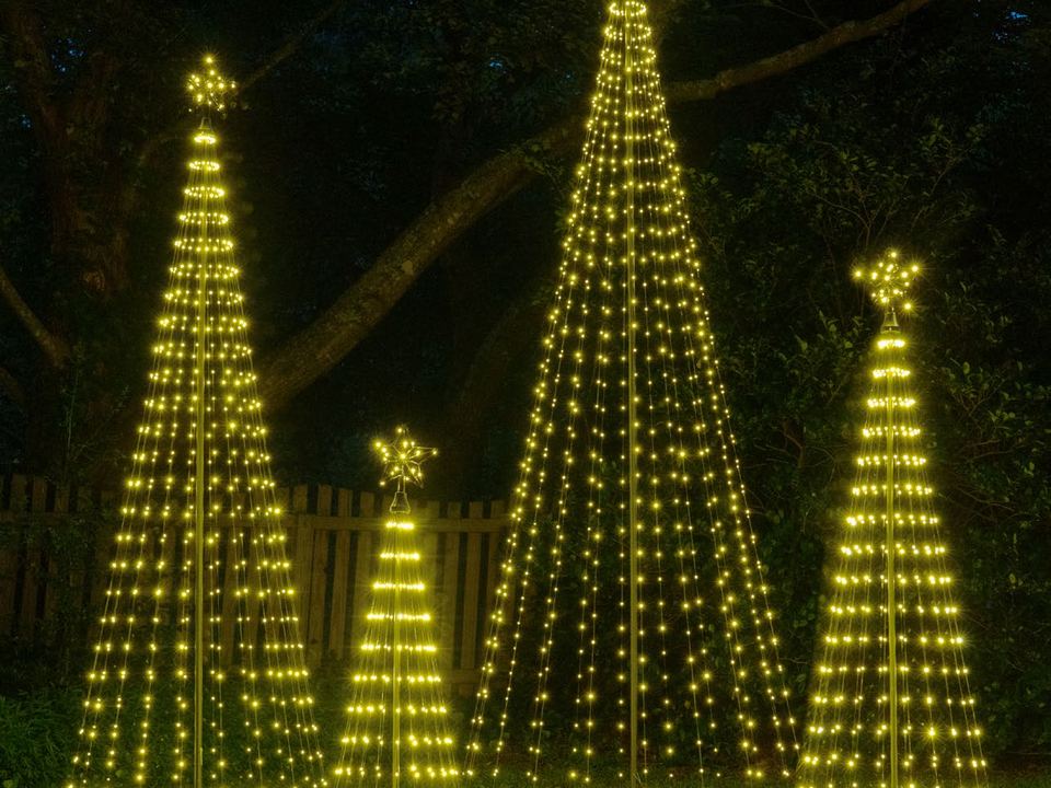 Display trees and lit accents