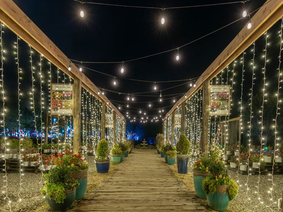 A long covered walkway lined with curtain lights and strung bulbs overhead