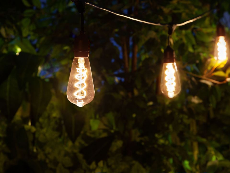 Edison-style filament bulbs glowing on a string over a garden