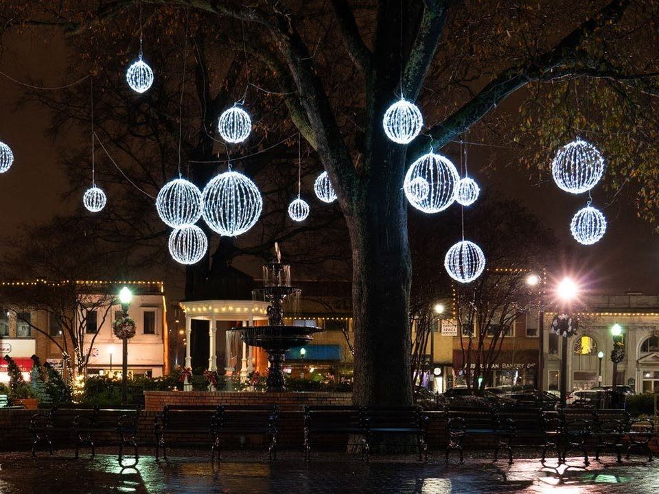 White light balls hanging at different heights in large trees at night