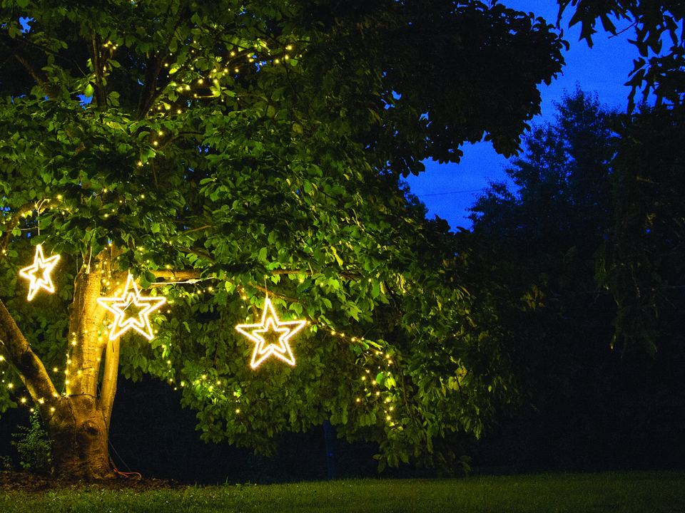 Warm white outline stars hanging in a large tree at dusk