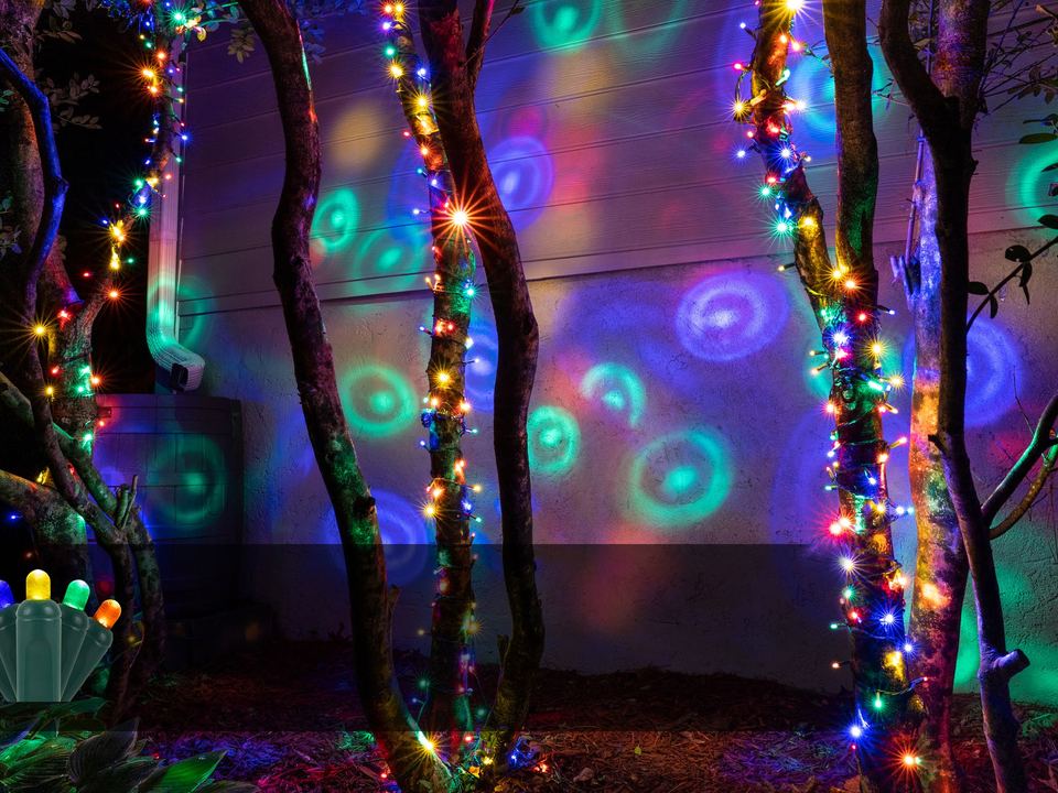 Trees wrapped in lights that cast colored rings onto a wall behind them