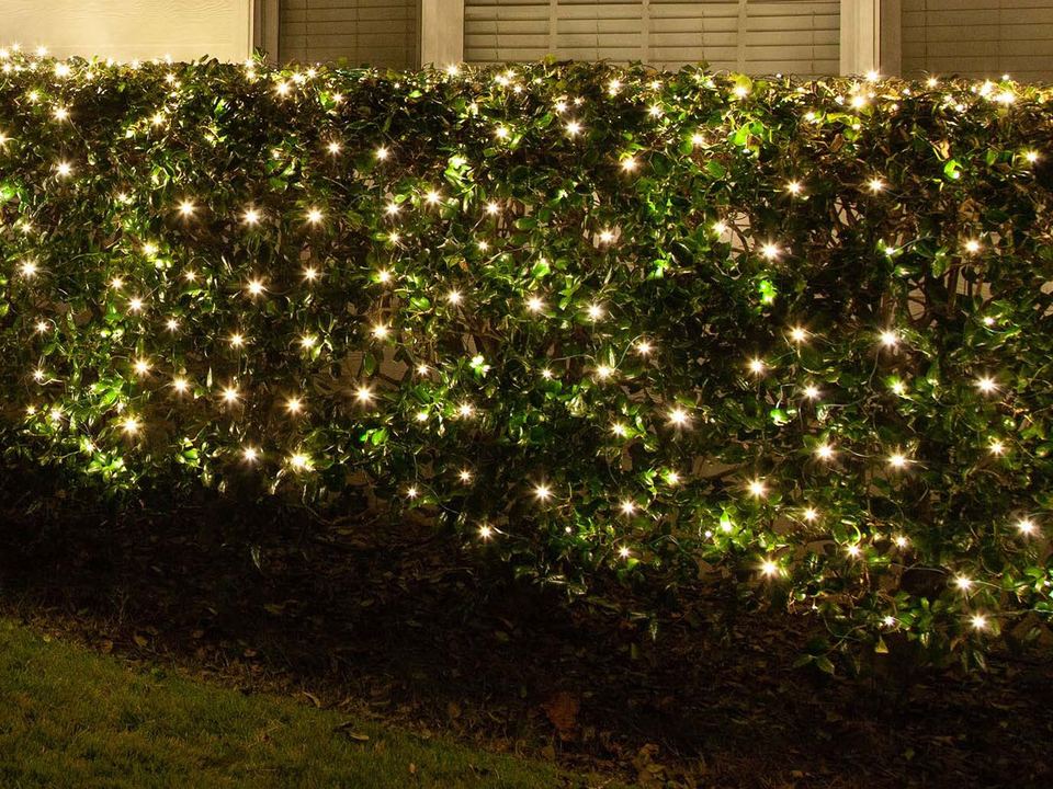 A hedge evenly covered in warm white net lights